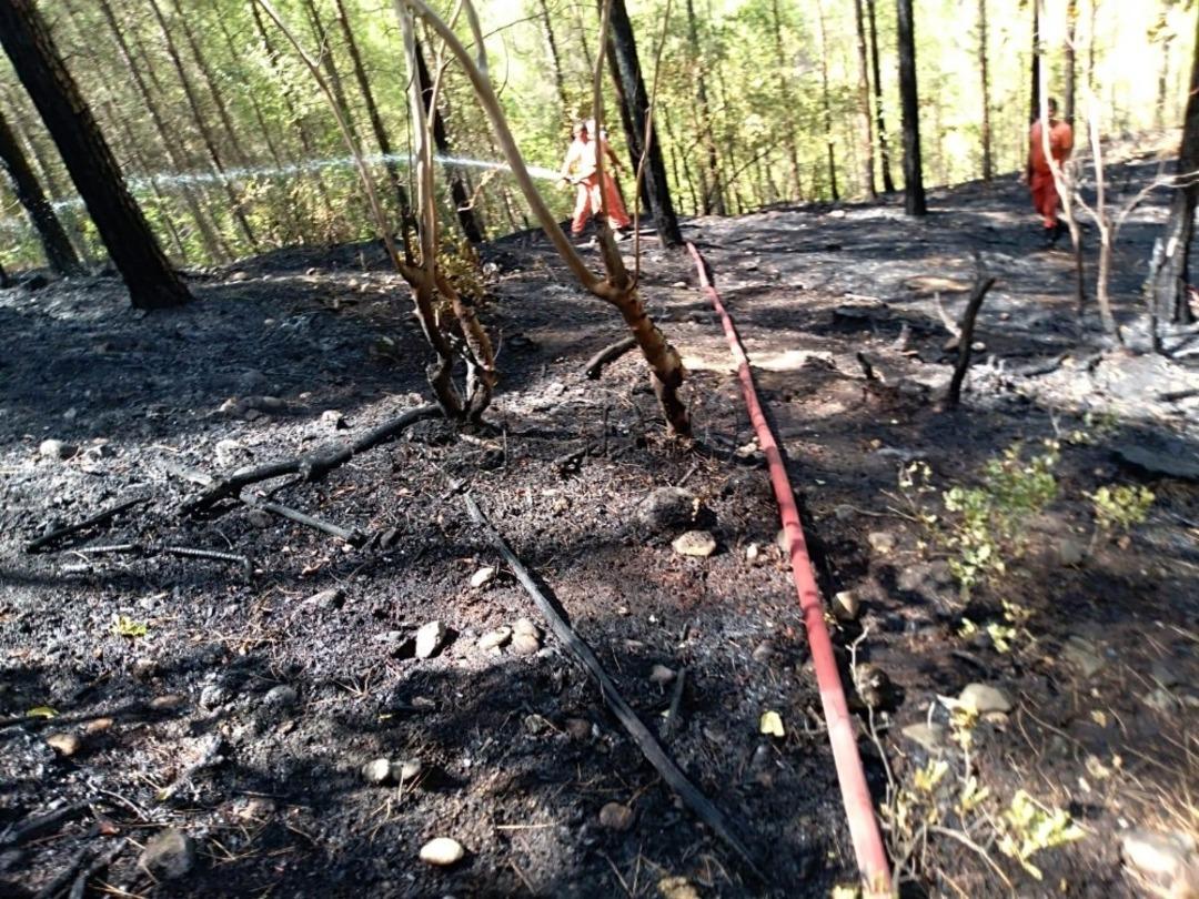 Kaş&rsquo;ta &ccedil;amlık alanda yangın