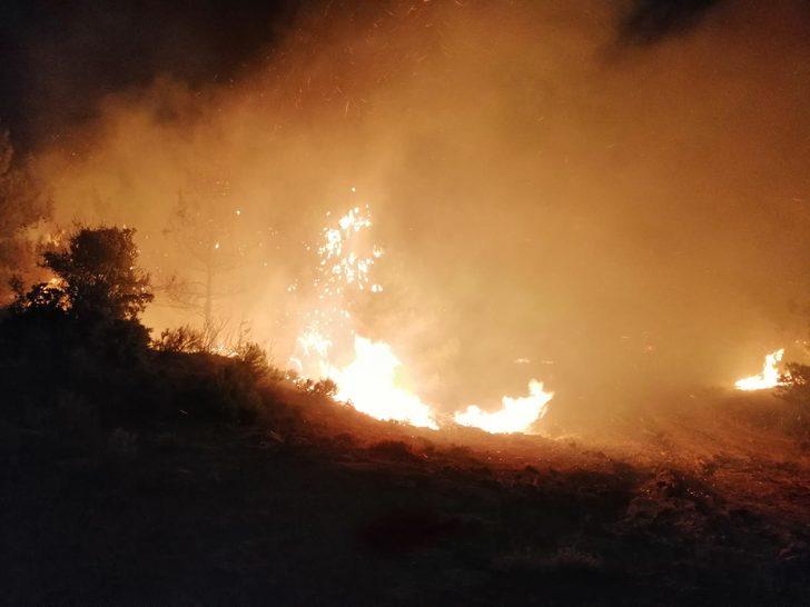 Tarihi Gelibolu Yarımadası'nda orman yangını G5