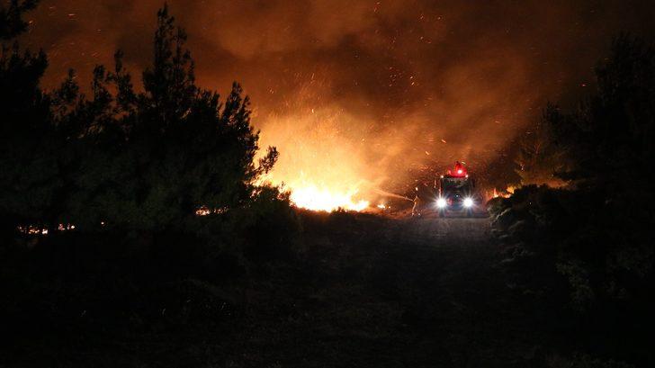 Tarihi Gelibolu Yarımadası'nda orman yangını G3
