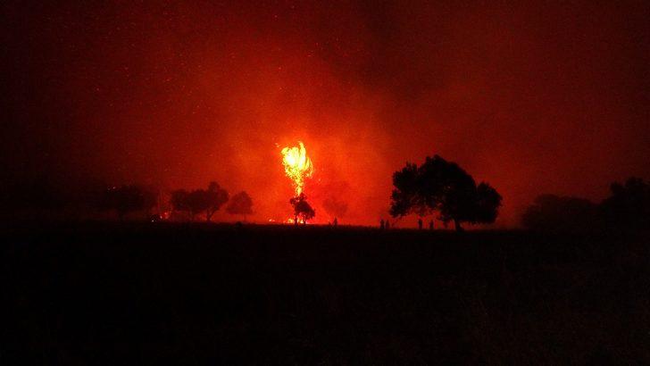 Tarihi Gelibolu Yarımadası'nda orman yangını G2