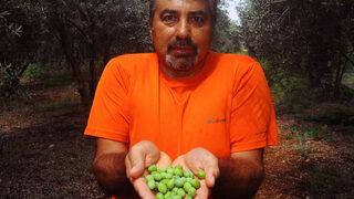 Marangozluğu bırakıp verimli zeytin üretmeye başladı