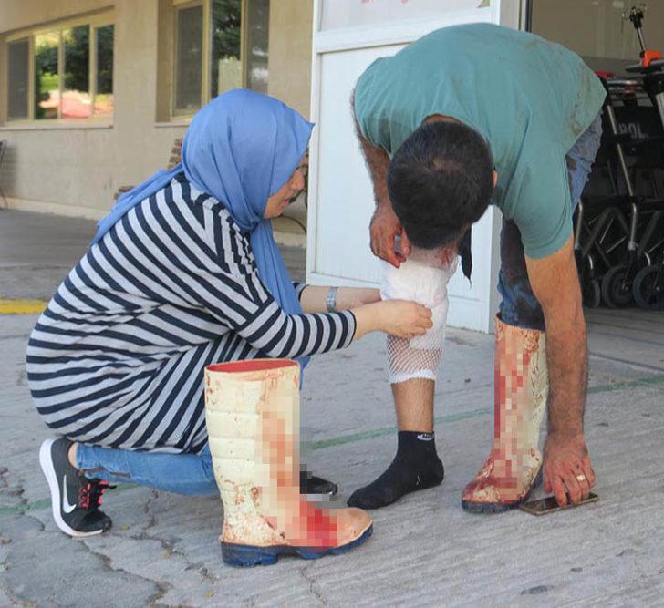 Kurban Bayramı'nda yine aynı manzara... Acemi kasaplar hastanelere akın etti G1