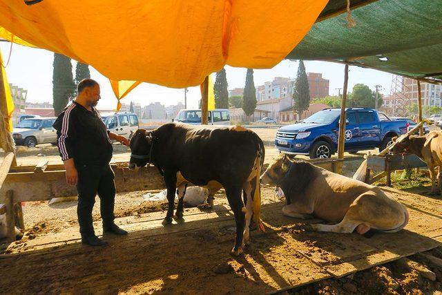 Kurban pazarında bayram namazı sonrası hareketlilik