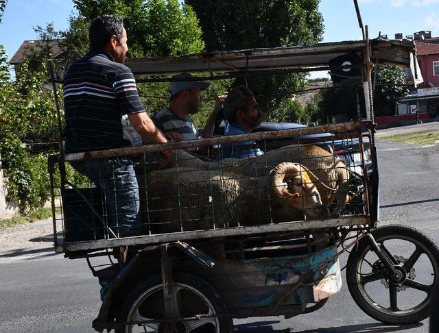 Kurban kesiminde kadın eli