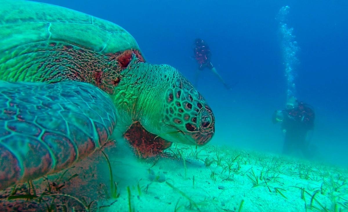 Antalya'da muhteşem g&ouml;r&uuml;nt&uuml;ler! Dalış turizminin kalbi Kaş&rsquo;ta atıyor