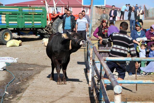 Yozgat’ta kurban satışları birinci gün de devam etti