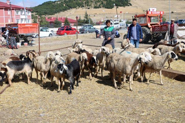 Yozgat’ta kurban satışları birinci gün de devam etti