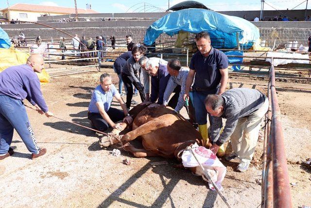 Yozgat’ta kurban satışları birinci gün de devam etti