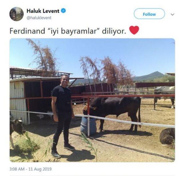 ferdınand