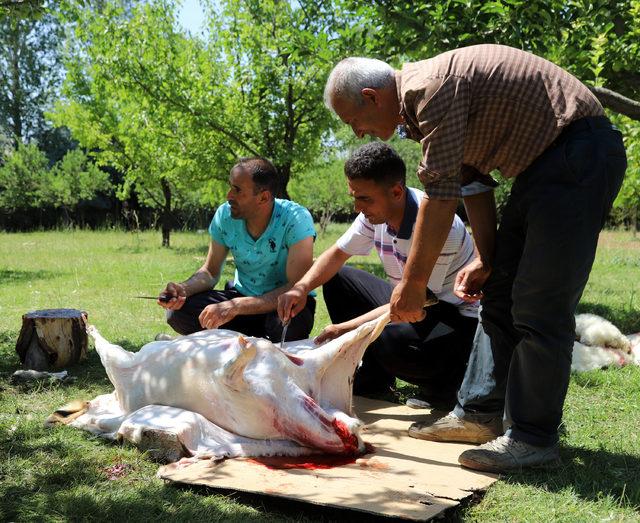 Mahallede kesilen kurban etlerini toplayıp, eşit şekilde dağıtıyorlar