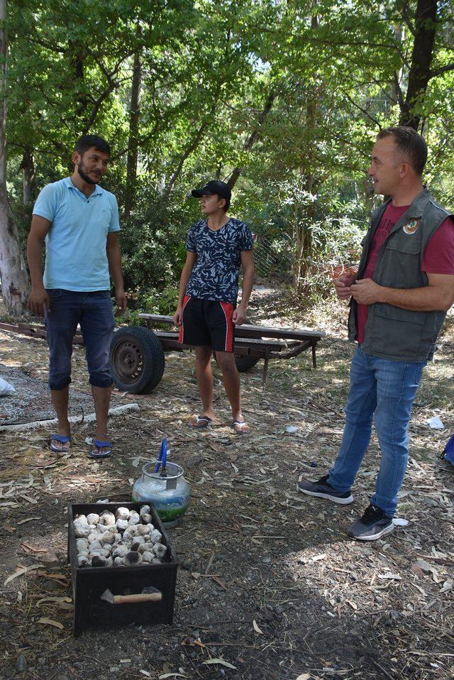 Orman yangınlarına karşı mangallar söndürüldü