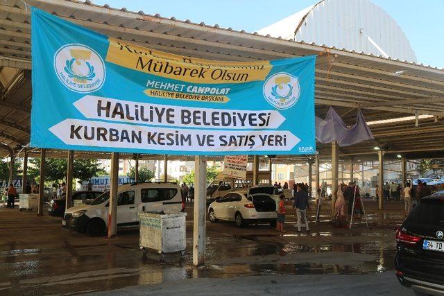 Haliliye’de 50 bin adet kurban atık poşeti dağıtıldı