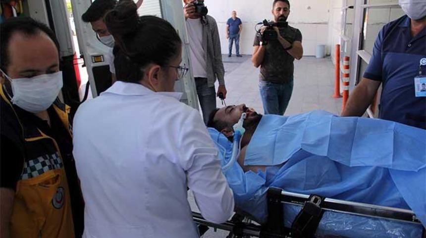 Kurban keserken arı soktu, yoğun bakıma kaldırıldı