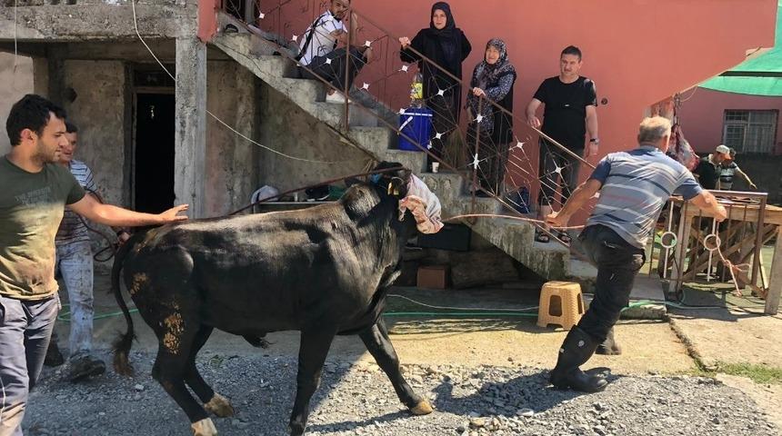 Acemi kasaplar kurban yerine kendilerini kesti