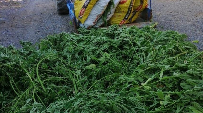 Dalaman’da uyuşturucu operasyonu