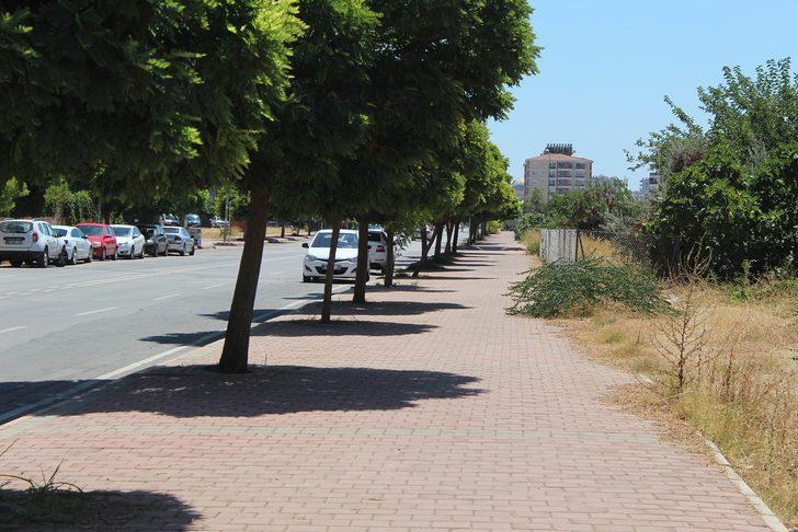 Termometreler çıldırdı! Çöl sıcakları vurdu, sokaklar boş kaldı G4