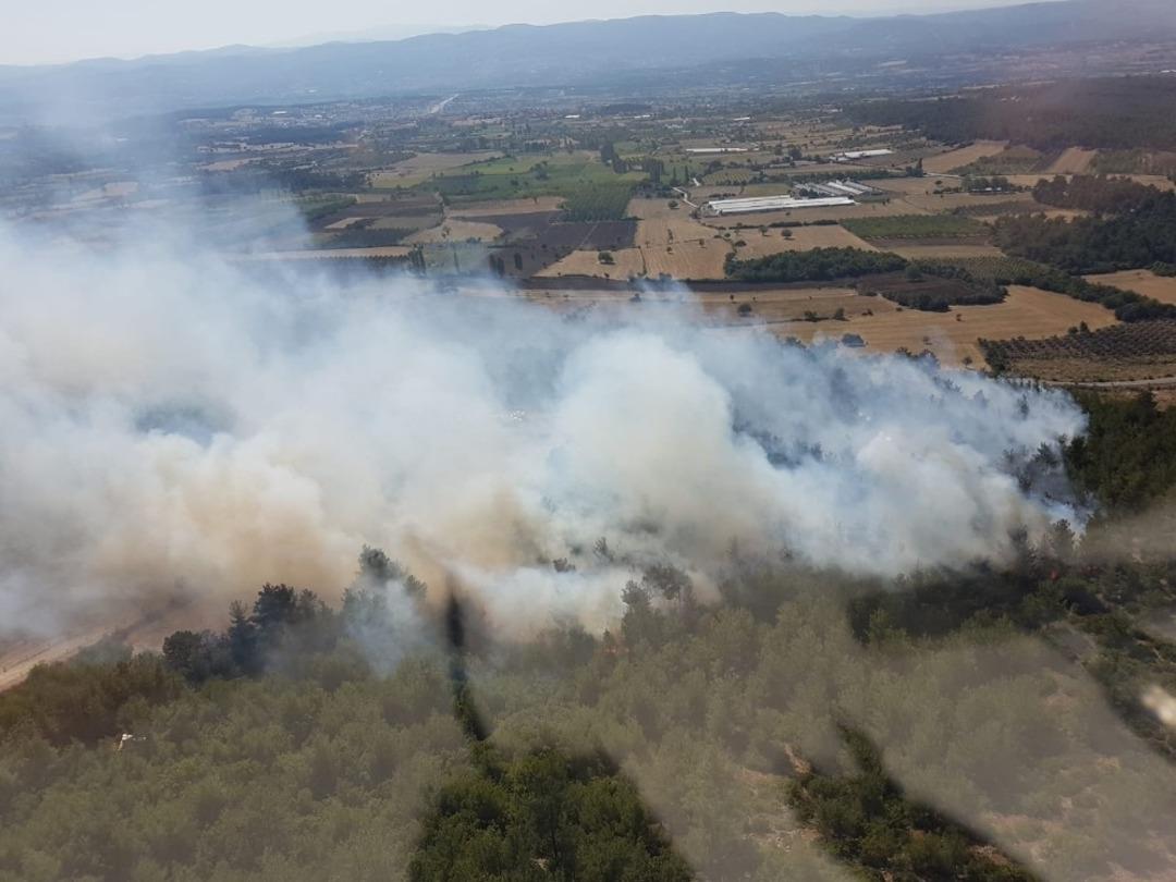 Balıkesir&rsquo;de orman yangını