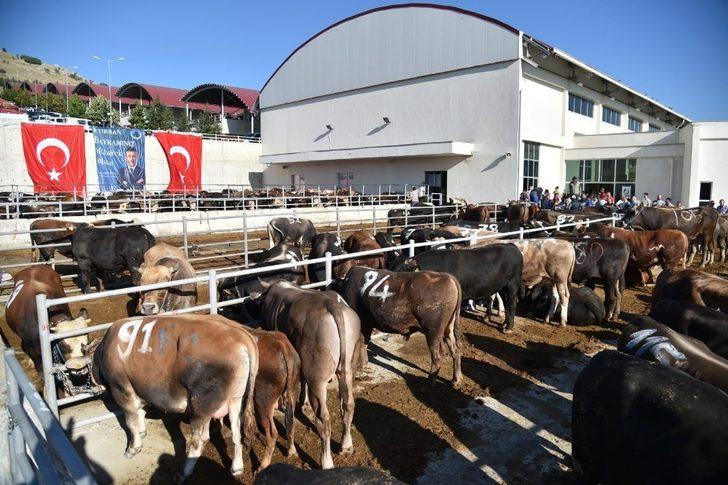 Kurban Satış ve Kesim Alanı’na tam not G5