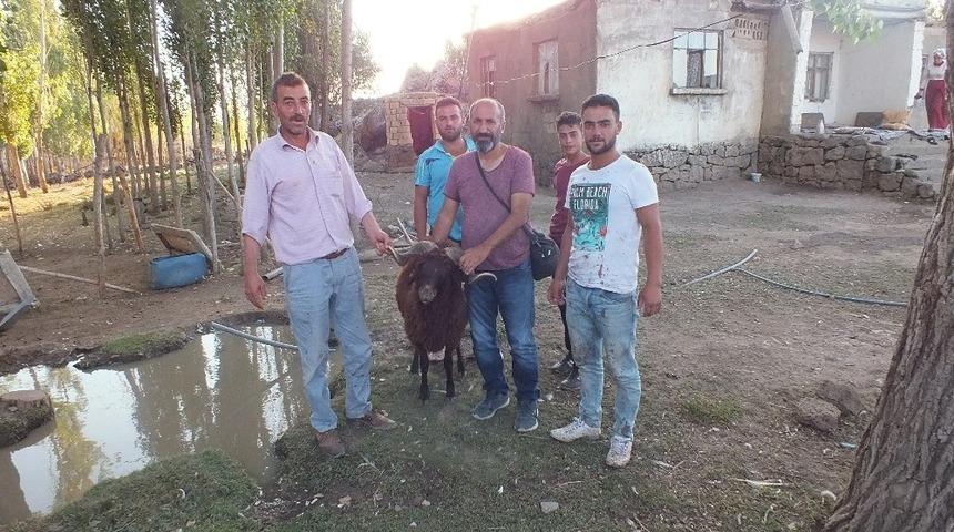 Hemşehrileri için kurban kesti