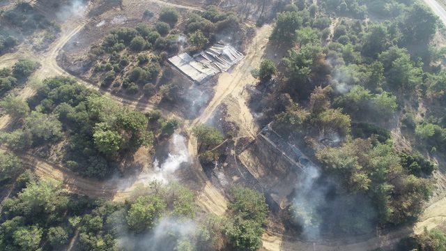 Gelibolu'daki yangında şehitlik, siper hattı ve savaş alanı zarar görmedi