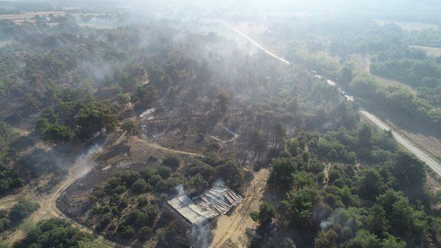 Gelibolu'daki yangında şehitlik, siper hattı ve savaş alanı zarar görmedi