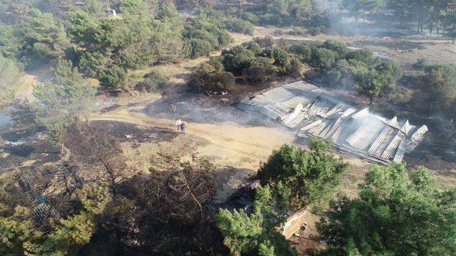 Gelibolu'daki yangında şehitlik, siper hattı ve savaş alanı zarar görmedi