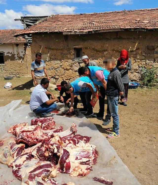 Tokat’ta 20 kurbanda bulaşıcı hastalık tespit edildi