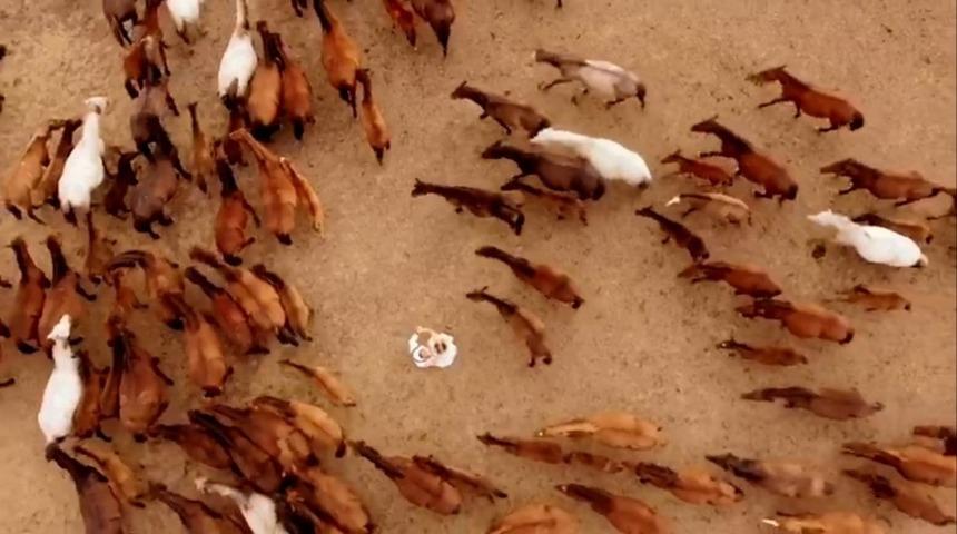 H&ouml;rmet&ccedil;i ve Kapadokya yeni evlenen &ccedil;iftlerin uğrak mekanı oldu