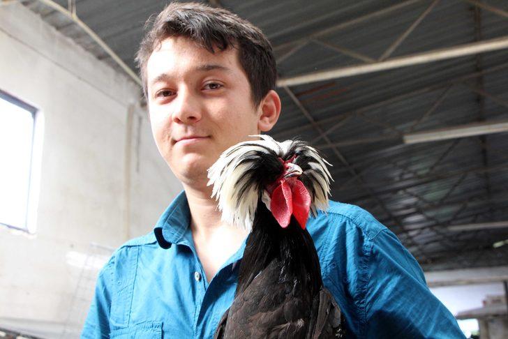 Bu horozların fiyatı ikinci el kadar G3