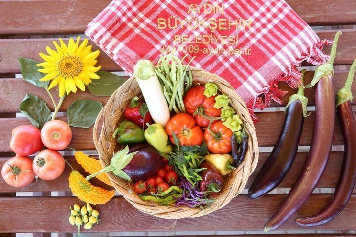 Aydın Büyükşehir Belediyesi yerel tohumlara sahip çıkıyor G2