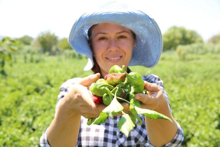 Aydın Büyükşehir Belediyesi yerel tohumlara sahip çıkıyor G3