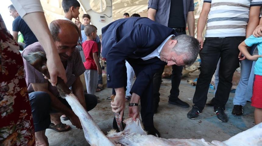 Tahmazoğlu, kurban kesim yerlerini ziyaret etti