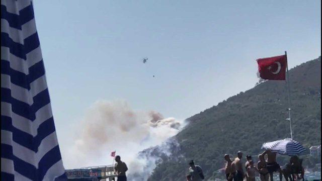 Burgazada'da ormanlık alanda yangın (2)