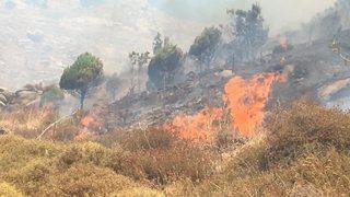 GÜNCELLEME - Balıkesir'de orman yangını