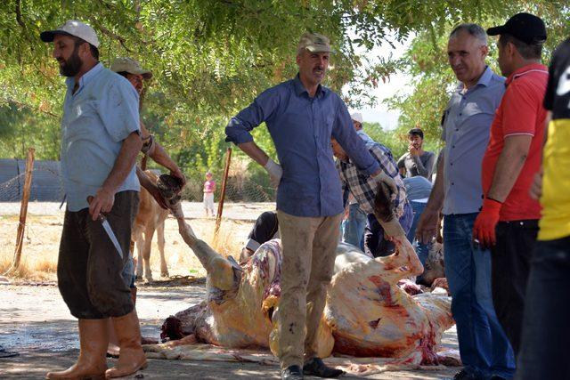 20 yıldır süren kurbanlık geleneği (2)