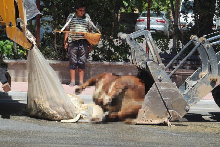 Antalya’da TIR'dan caddeye döküldü! Vatandaşlar zor anlar yaşadı G4