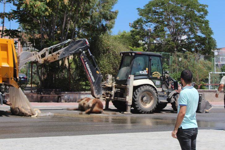Antalya’da TIR'dan caddeye döküldü! Vatandaşlar zor anlar yaşadı G5