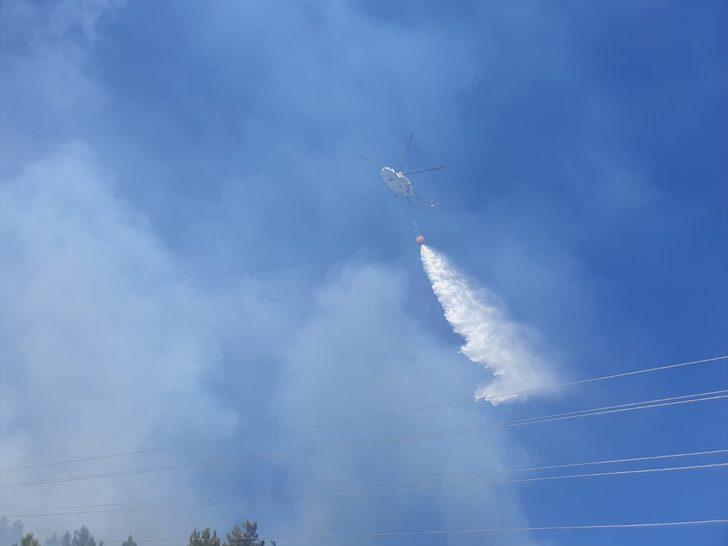 GÜNCELLEME - Balıkesir'de orman yangını G1