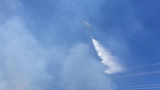 GÜNCELLEME - Balıkesir'de orman yangını