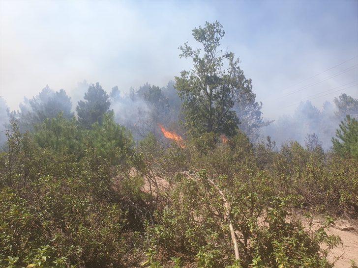 GÜNCELLEME - Balıkesir'de orman yangını G2