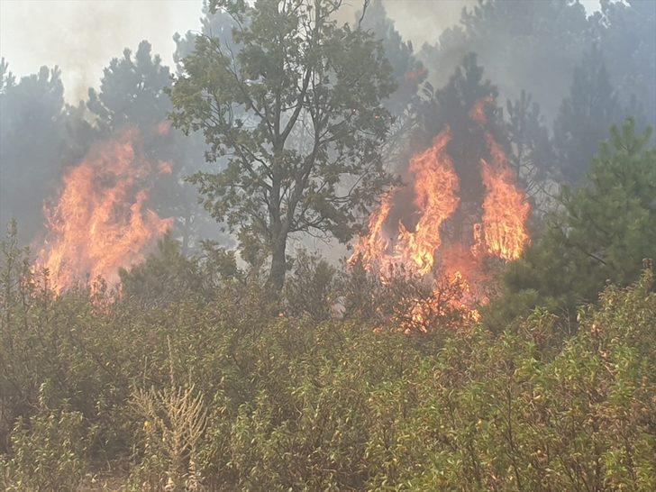 GÜNCELLEME - Balıkesir'de orman yangını G3