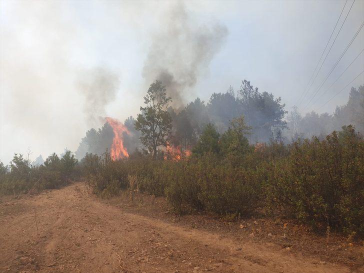 GÜNCELLEME - Balıkesir'de orman yangını G4