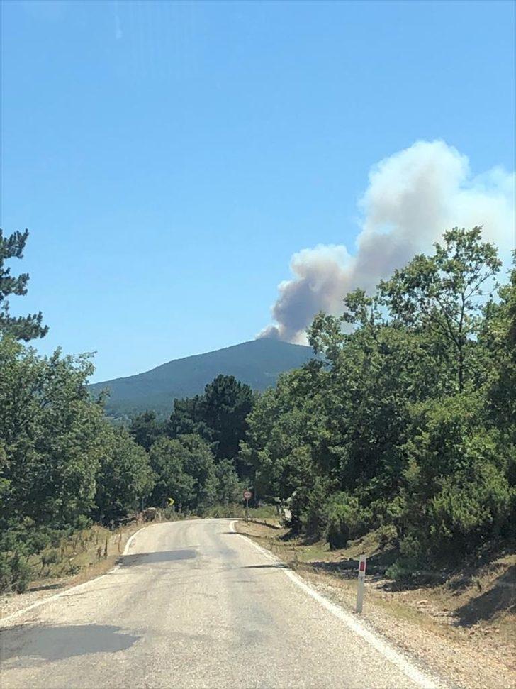 GÜNCELLEME - Balıkesir'de orman yangını G5
