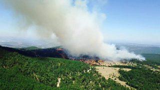 GÜNCELLEME 2 - Balıkesir'de orman yangını