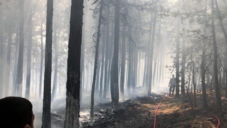 GÜNCELLEME 2 - Balıkesir'de orman yangını G3