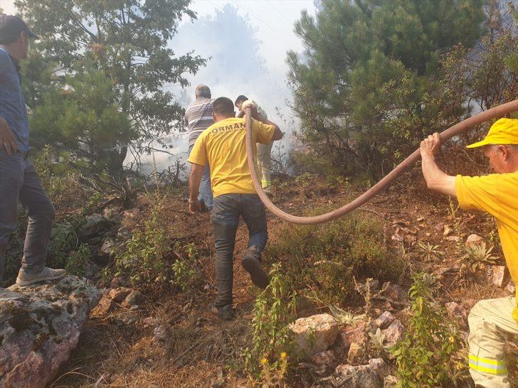 GÜNCELLEME 2 - Balıkesir'de orman yangını G4