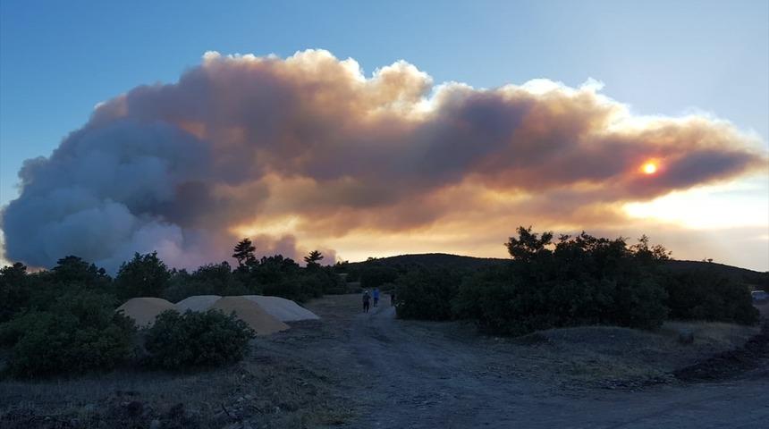 Bir yangın daha! Hızla büyüyor