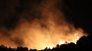 Marmara Adası'ndaki yangının bilançosu belli oldu! Tam 80 hektar alan kül oldu