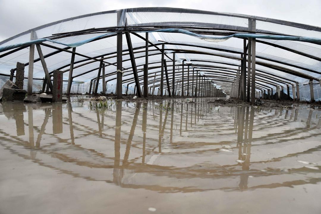 67 yılın en b&uuml;y&uuml;k yağışı! Lekima tayfununun acı bilan&ccedil;osu: 48 &ouml;l&uuml;, 21 kayıp