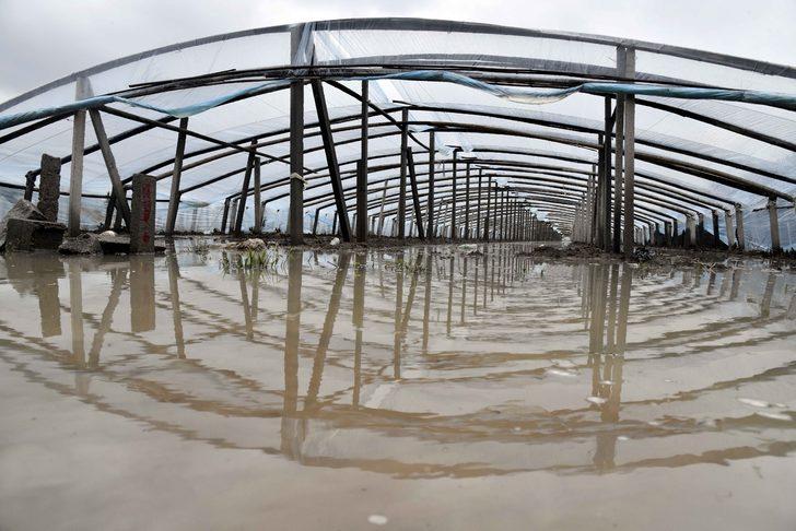 67 yılın en büyük yağışı! Lekima tayfununun acı bilançosu: 48 ölü, 21 kayıp G2
